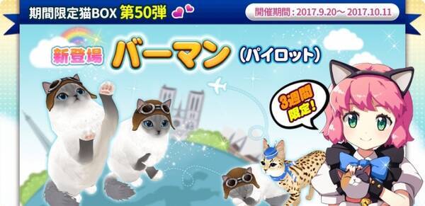 マイにゃんカフェ 期間限定猫box 第50弾などのイベントを開催 17年9月日 エキサイトニュース