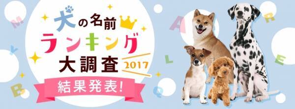 犬の名前ランキング調査17 チョコ が2年連続1位を獲得 17年10月18日 エキサイトニュース