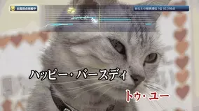 Joysound独占 Nintendo Switch スーパーマリオ オデッセイ がカラオケに登場 主題歌 Jump Up Super Star が配信決定 17年12月1日 エキサイトニュース Joysound独占 Nintendo Switch スーパーマリオ オデッセイ がカラオケに登場 主題歌 Jump Up Super Star が配信決定 17年12月1日 エキサイトニュース