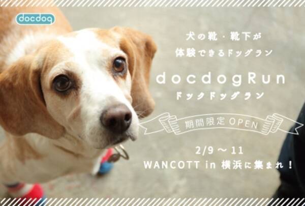 18年は戌年 Docdog 日本最大級の犬と人のための大型複合施設wancott 犬の靴 靴下が体験できるドッグラン Docdog Run を2月9 日 肉球の日 から期間限定オープン 18年1月31日 エキサイトニュース