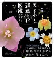 現役サラリーマン5人組雑草系ヴォーカルユニット Playest プレイスト デビューアルバム 本日リリース 13年11月6日 エキサイトニュース