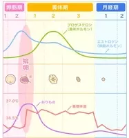 ルナルナ ファミリーコースが新ロジックでより精度の高い妊娠可能日予測を導入 16年11月30日 エキサイトニュース