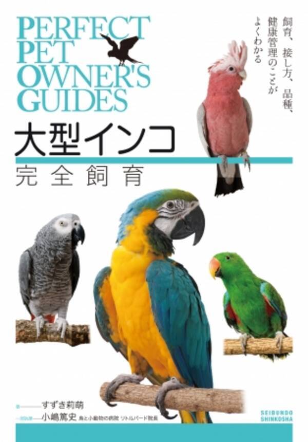 大型インコを飼いたい方へ 飼育のこと 接し方 病気など 我が家へ迎えるためのノウハウが満載 18年2月27日 エキサイトニュース