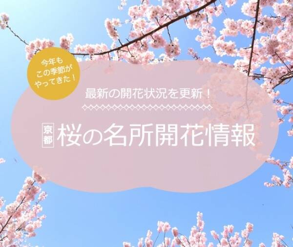 京都最大級の桜開花情報 京都の桜 開花時期は 桜の名所 開花情報 2018 2018年3月27日 エキサイトニュース