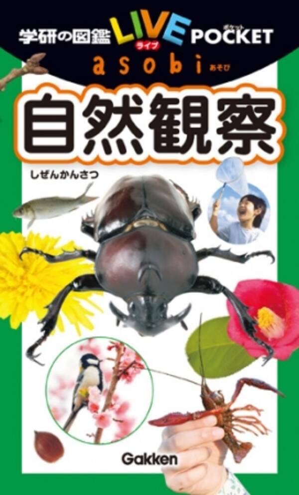 新感覚アウトドア用図鑑 遊びながら自然に親しみ 観察できる図鑑が新登場 この春は図鑑を片手に自然観察にワクワクしよう 18年4月6日 エキサイトニュース