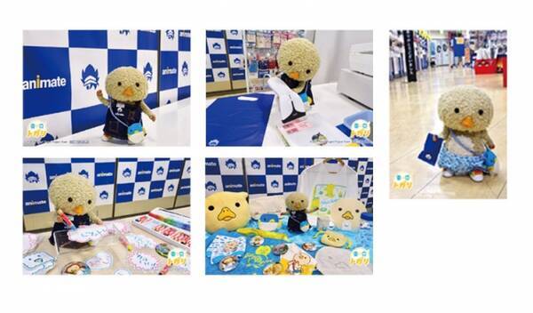 Twitterで大人気の謎のいきもの 東京トガリのオンリーショップがアニメイト渋谷 吉祥寺で開催 撮り下ろし写真や新作グッズを集めたオンリーショップが6月23日よりスタート 18年6月1日 エキサイトニュース