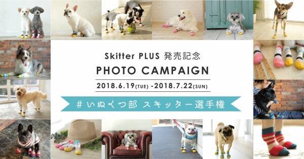 脱げにくい犬の靴下 Skitter Plus スキッタープラス の発売を記念して Snsフォトキャンペーン いぬくつ部 スキッター選手権 を開催 18年6月19日 エキサイトニュース