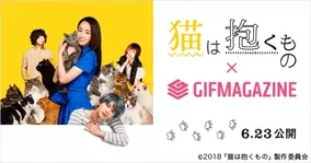 Ske48のno 1コンビを決める コンビゼロポジ決定戦 がスタート あるコンビに ビジネス疑惑 発覚 Ske48 Zero Position Tbsチャンネル1で6月23日 土 放送 2018年6月22日 エキサイトニュース
