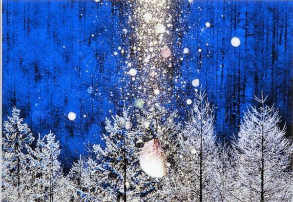 アイデムフォトギャラリー シリウス フォトクラブ 丹青会 たんせいかい 第２回写真展 自然からのメッセージ 期間 18年7月5日 木 7月11日 水 18年7月2日 エキサイトニュース