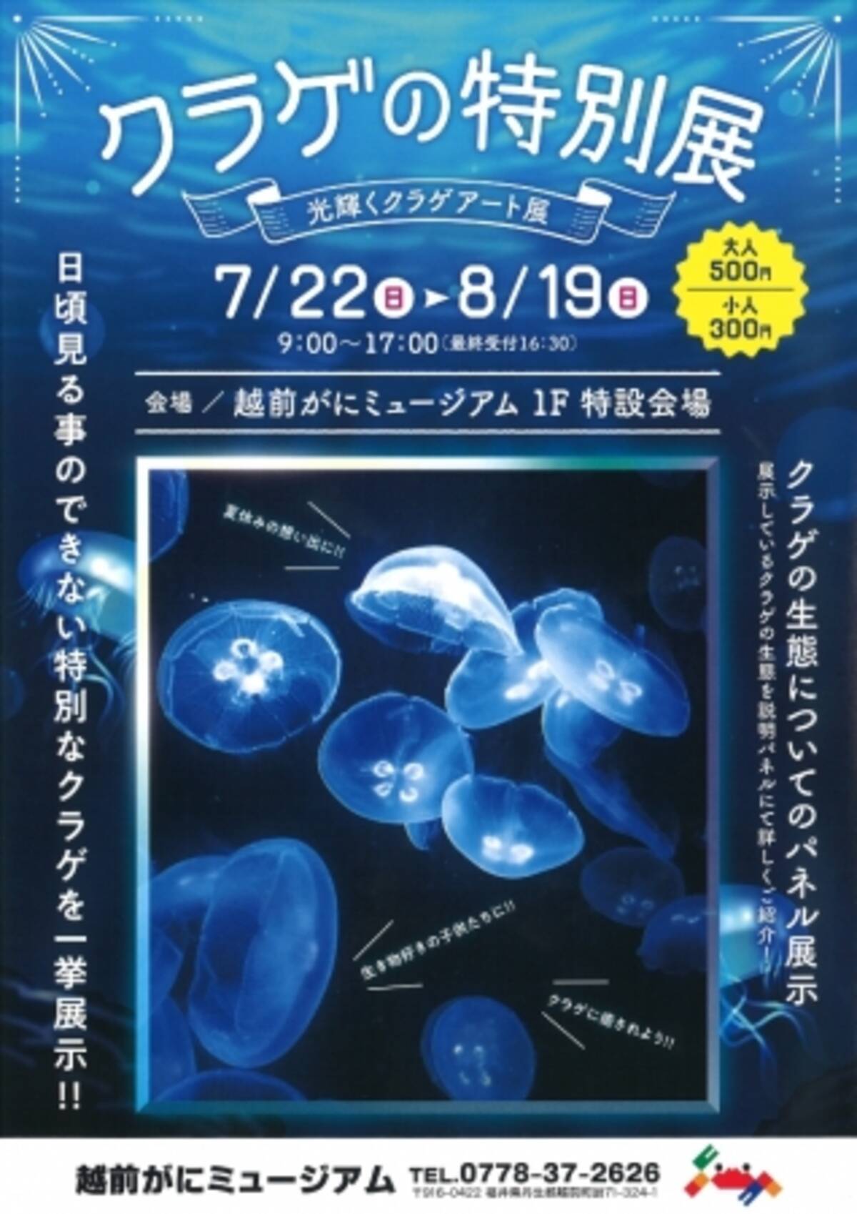 福井県越前町 幻想的な光り輝くクラゲのアート 越前がにミュージアムで クラゲの特別展 開催 18年7月23日 エキサイトニュース