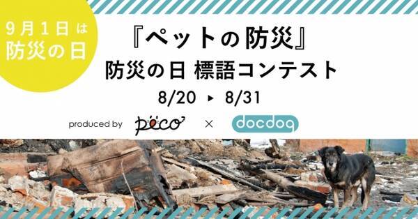日本最大級のペットメディア Peco 犬の靴 靴下専門店docdogが ペットの防災 をテーマにした標語コンテストを開催 18年8月17日 エキサイトニュース
