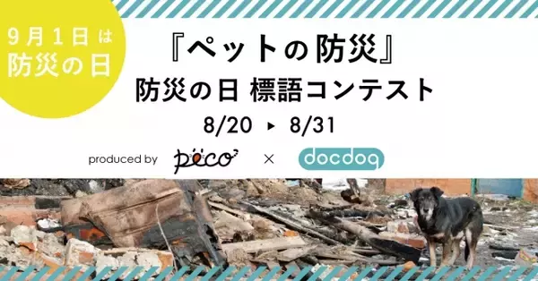 日本最大級のペットメディア PECO × 犬の靴・靴下専門店docdogが「ペットの防災」をテーマにした標語コンテストを開催