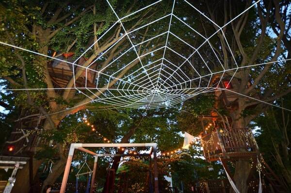 巨大な蜘蛛の巣が上空に出現 ツリーハウスの森カフェ 椿森コムナ 18年9月6日 エキサイトニュース