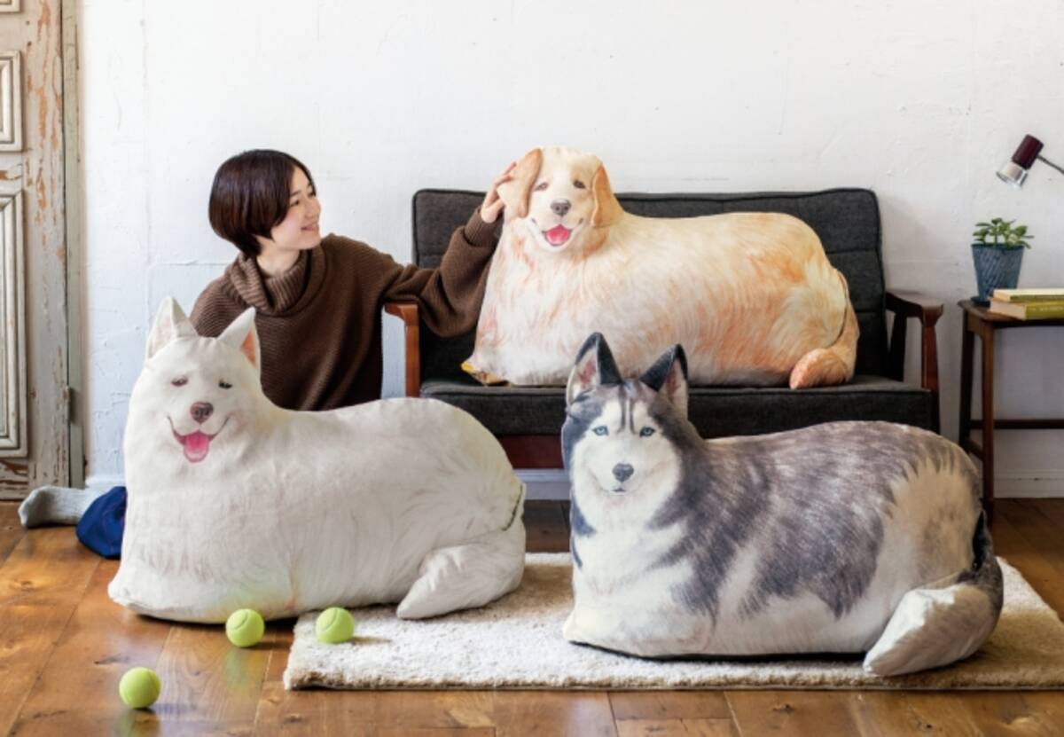 わが家に大型犬が登場 大きなワンコの布団収納クッションケース がフェリシモyou More から新登場 18年9月19日 エキサイトニュース