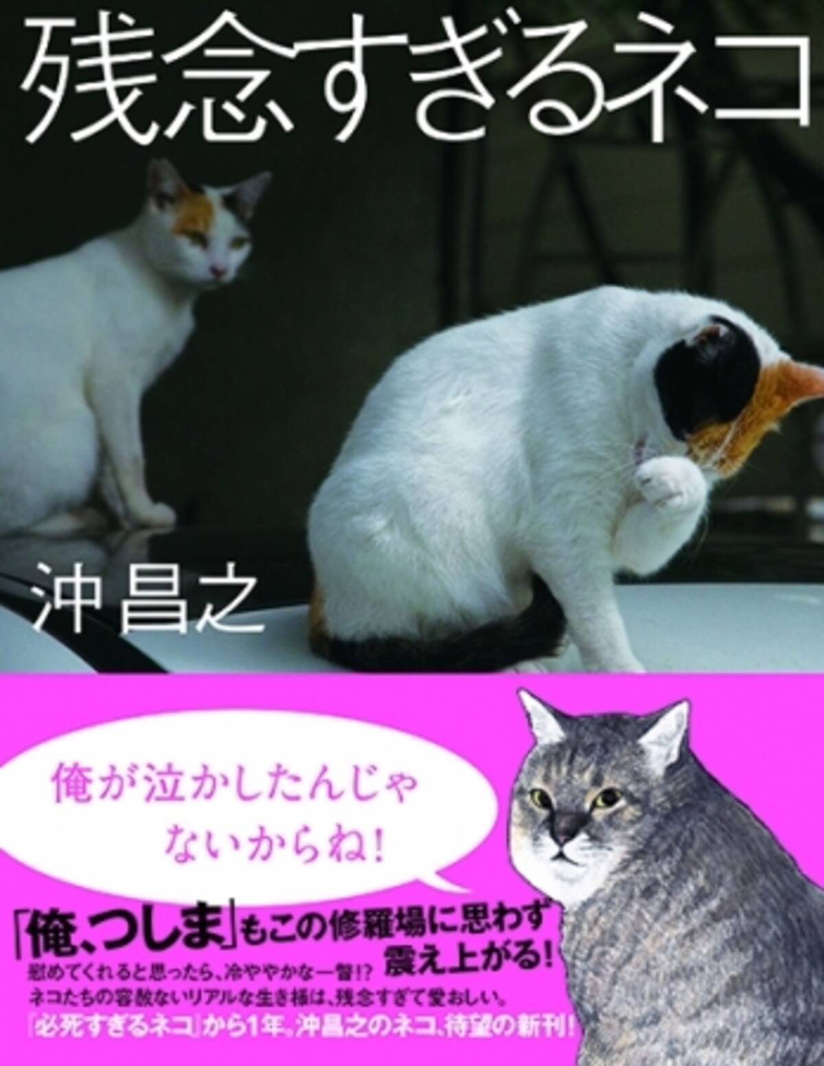 ベストセラー漫画 俺 つしま も絶賛 超人気猫写真家 沖昌之の最新写真集は 残念すぎるネコ ネコの数だけ残念がある 18年9月19日 エキサイトニュース