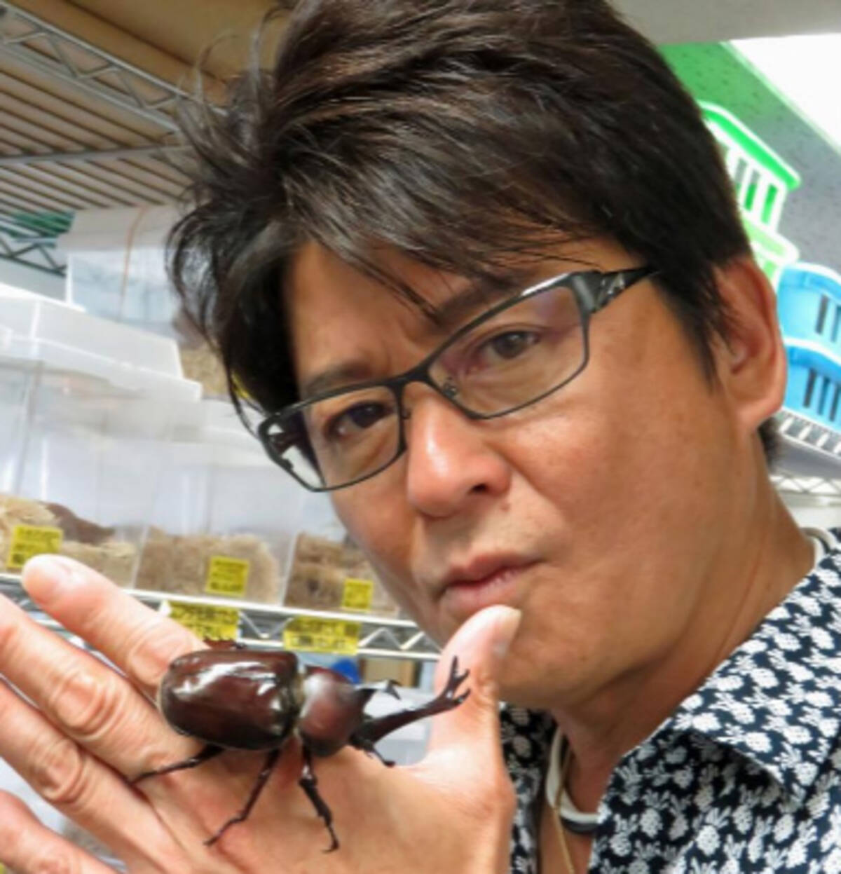 カブトムシ 哀川 翔