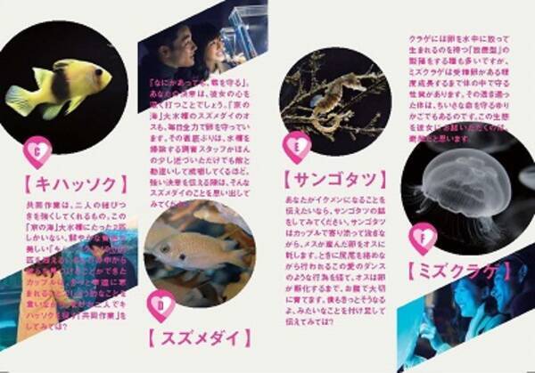 オリックス水族館 男性をサポートし 恋愛成就のコツを伝授 ｌｏｖｅ ｓｕｐｐｏｒｔ ｐｒｏｊｅｃｔ 18年12月4日 エキサイトニュース