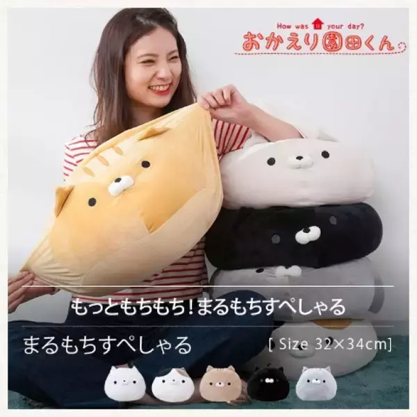 これは癒される】あなたのおかえり係「おかえり園田くん」の特大 
