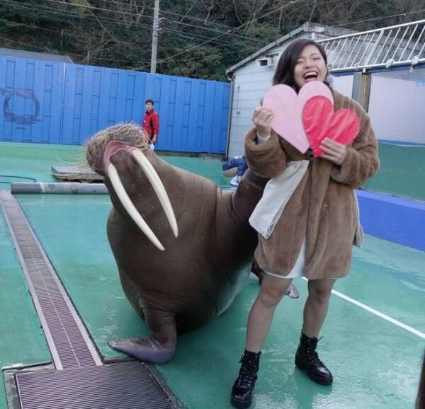 恋のパワースポットでおまじない 水族館 伊勢シーパラダイスで恋の応援イベント開催中 19年1月15日 エキサイトニュース