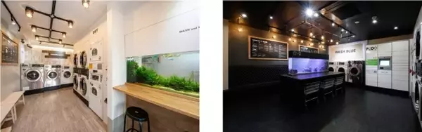 コインランドリーとアクアリウムを融合させた『アクアリウムランドリー』　小規模店舗に明るい兆しを！20m2台、30m2台店舗のフランチャイズ事業始動！