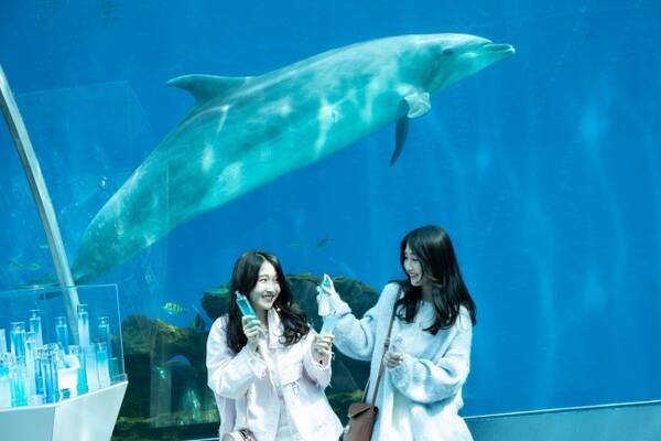 横浜 八景島シーパラダイス に期間限定のインスタ映えスポットが出現 アクア シャボン との究極のコラボイベントを開催中 19年4月1日 エキサイトニュース