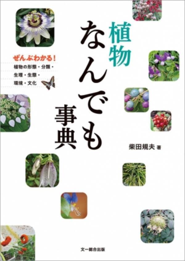植物の用語を写真とイラストでわかりやすく解説した 今までとは違う新しい植物事典 植物なんでも事典 発売 19年4月22日 エキサイトニュース