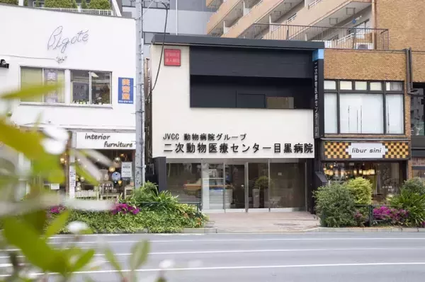 夜間救急併設した二次動物医療センターが目黒区にオープン