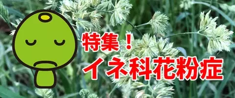 特集 秋の花粉症 猛暑の次はブタクサやイネ科花粉が舞う 18年8月30日 エキサイトニュース