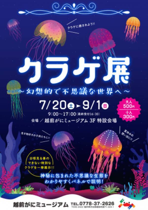 福井県越前町 幻想的な光り輝くクラゲのアート 越前がにミュージアムで クラゲの特別展 開催 19年7月6日 エキサイトニュース