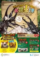 ビナウォーク ららぽーと海老名 Ebina Big Bargain 19年6月28日 金 スタート 19年6月17日 エキサイトニュース