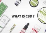 「CBD POP-UP STORE が期間限定で伊勢丹新宿店、エストネーション六本木店に出現」の画像1