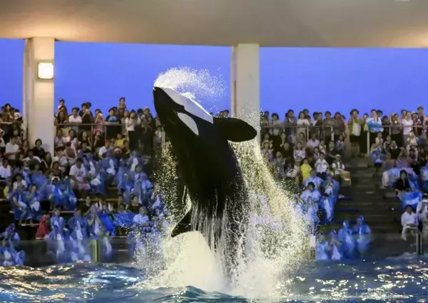 「敬老の日」＆「秋分の日」の3連休は、家族みんなで水族館にでかけよう！鴨川シーワールド「2019秋の特別営業」開催