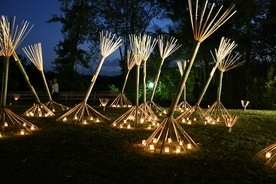 竹と灯りが創りだす幽玄な風景。奈良県生駒市で第２３回「高山竹あかり」を開催