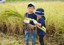 飛行ロボコン 第15回全日本学生室内飛行ロボットコンテスト開催 19年9月24日 エキサイトニュース