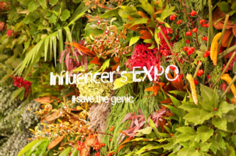 Influencer’s EXPO 開催!!全国のインフルエンサー300名が集結!!来場インフルエンサーの合計フォロワー数1000万越え！
