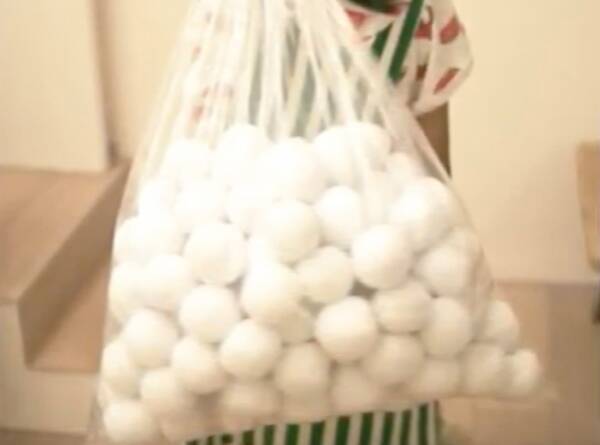 いつでも どこでも 誰とでも仲良しになれる遊び 雪がなくたって楽しめる 雪合戦 19年10月23日 エキサイトニュース