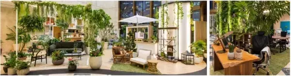 世界が認める庭園デザイナー×大塚家具の世界厳選インテリアで実現　注目の「バイオフィリック・デザイン」による空間デザインフロアを発表！