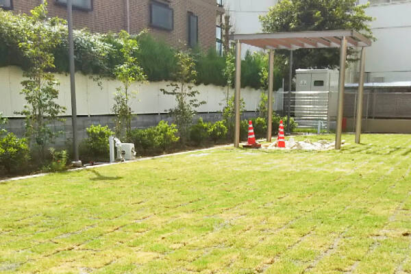 にじいろ保育園初 芝生の園庭 ヒートアイランド対策の一環として 東京都の緑化事業に参加 19年11月28日 エキサイトニュース