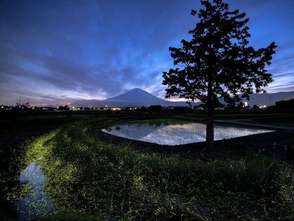 第37回 日本の自然 写真コンテスト作品募集スタート 2019年12月2日 エキサイトニュース