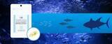 「【noi DHA＆EPA 1200mg】海洋プラスチックごみも無視できない、オメガ３魚油は世界基準の安全性を！フランスPolaris社製ＤＨＡ＆ＥＰＡを特許液体カプセルに密封したサプリメント新発売」の画像1