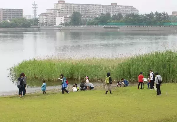 「当日は入館無料！自然環境や生物多様性について体験できる「世界湿地の日まつり2020」2月9日（日）開催（習志野市谷津干潟自然観察センター）」の画像
