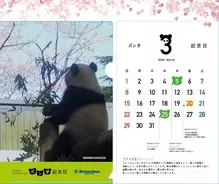 朝番組 Zip にパンダがレギュラー出演 パンダが英語を伝授する新コーナー ２月よりスタート 年1月27日 エキサイトニュース