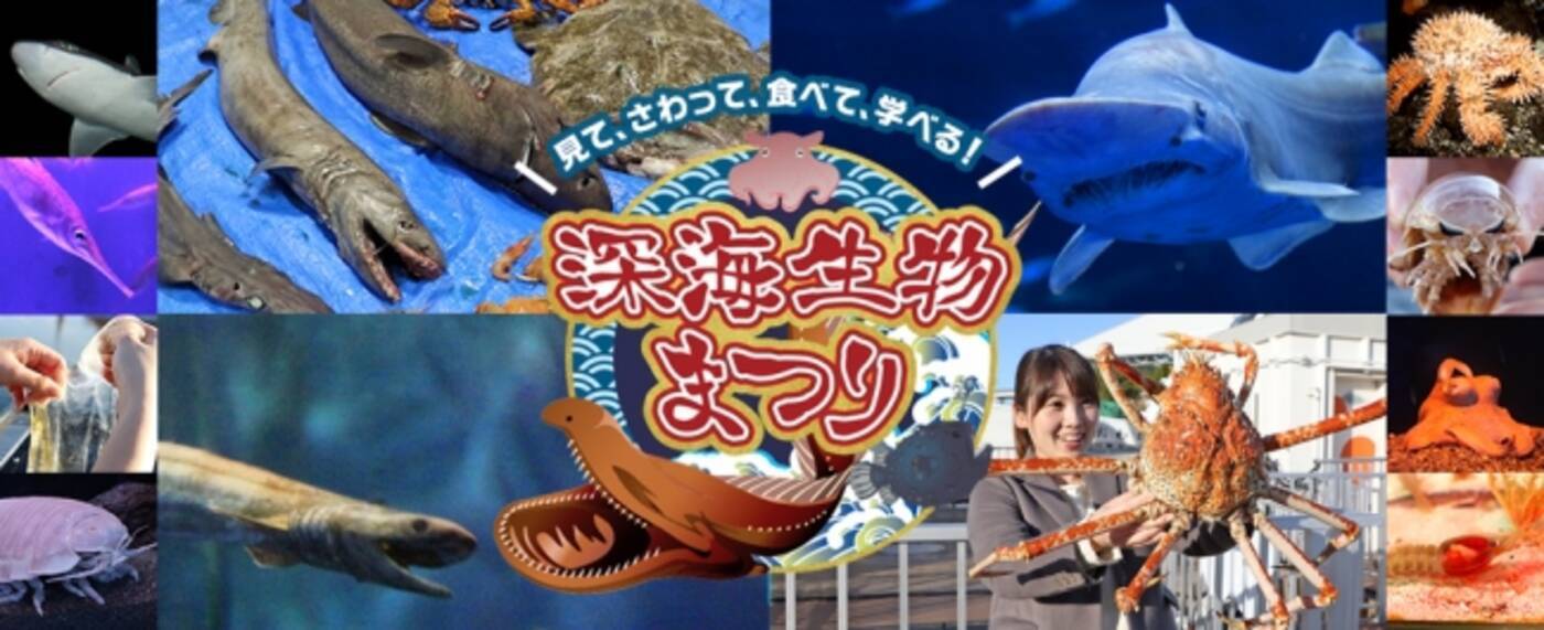 横浜 八景島シーパラダイス ４日間限定 貴重な深海生物トークが満載 深海生物まつり 講演会 ２０２０年２月２３日 日 ３月８日 日 １５日 日 ２９日 日 年2月17