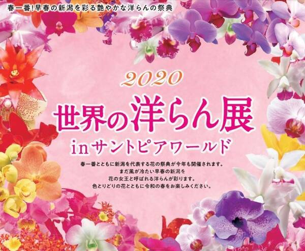 jaf新潟 jafデーin サントピアワールドを開催 年2月19日 エキサイトニュース jaf新潟 jafデーin サントピアワールドを開催 年2月19日 エキサイトニュース