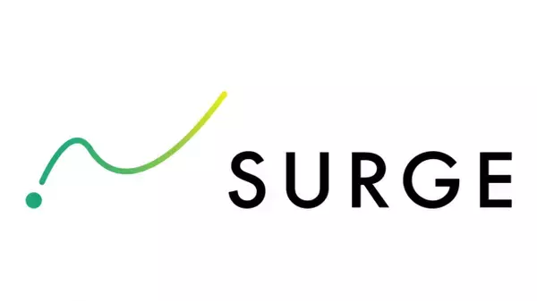 Web・デジタルマーケティング支援サービス「SURGE」サービス詳細・プランを公開