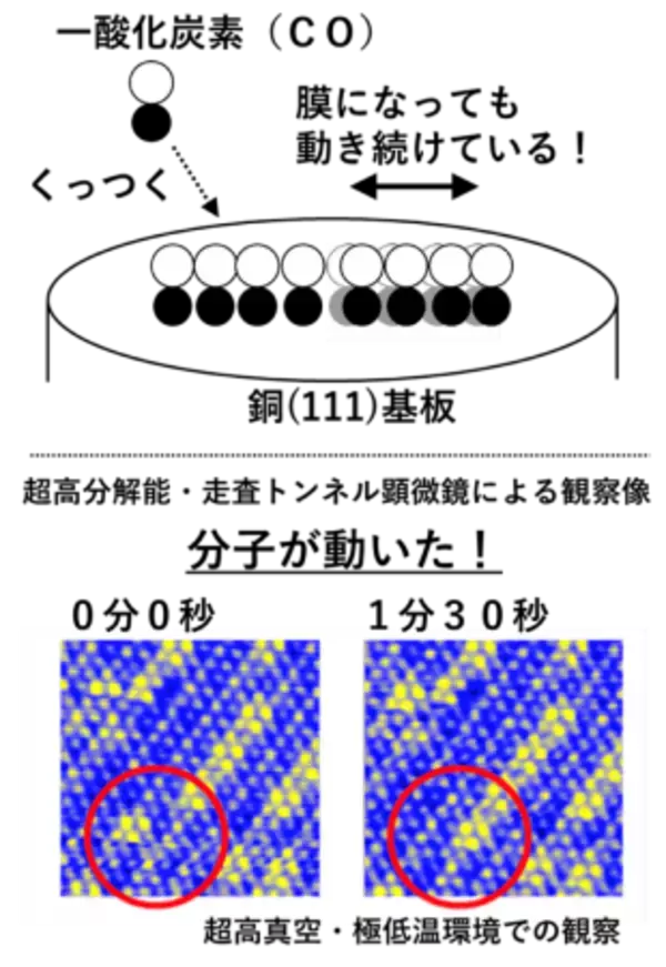 一酸化炭素分子は金属表面上で動いている　銅の単結晶・超真空・極低温条件による初検出