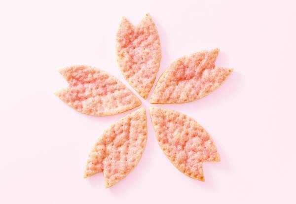 銀のぶどう 屋内でお花見 華やかに焼き上げた さくらパイ で春爛漫 年3月5日 エキサイトニュース