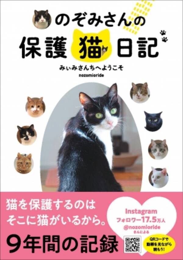 動画を見ながら読めばかわいさ倍増 100匹以上にわたる保護猫たちの物語 年3月9日 エキサイトニュース