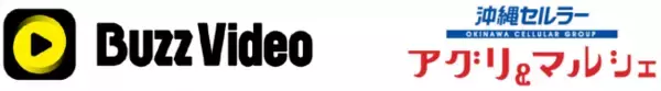BuzzVideoが沖縄セルラーアグリ＆マルシェ株式会社と提携「沖縄CLIPトリップ」の観光情報コンテンツをBuzzVideoで配信！