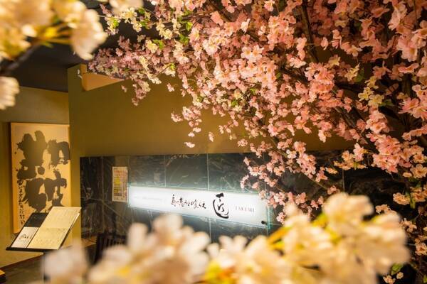 お食事と一緒に夜桜が楽しめる インドア花見 店内花見 エア花見 を開催 年3月24日 エキサイトニュース